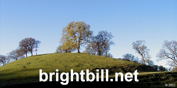 oaks along a ridge - brightbill.net